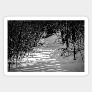 The path in black and white Sticker